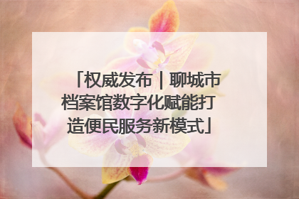 权威发布｜聊城市档案馆数字化赋能打造便民服务新模式
