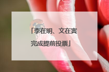 李在明、文在寅完成提前投票