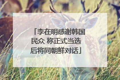 李在明感谢韩国民众 称正式当选后将同朝鲜对话