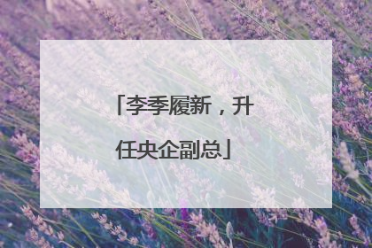 李季履新，升任央企副总