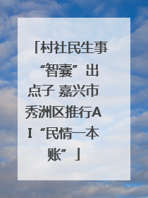 村社民生事 “智囊”出点子 嘉兴市秀洲区推行AI“民情一本账”