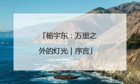 杨宇东：万里之外的灯光｜序言