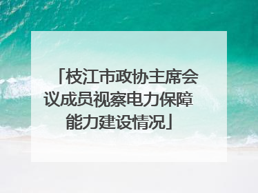 枝江市政协主席会议成员视察电力保障能力建设情况