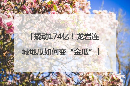 撬动174亿！龙岩连城地瓜如何变“金瓜”