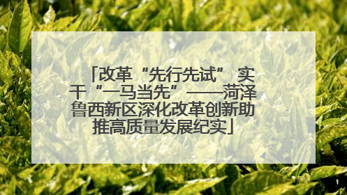 改革“先行先试” 实干“一马当先”——菏泽鲁西新区深化改革创新助推高质量发展纪实