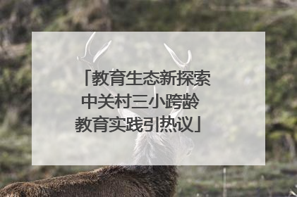 教育生态新探索 中关村三小跨龄教育实践引热议