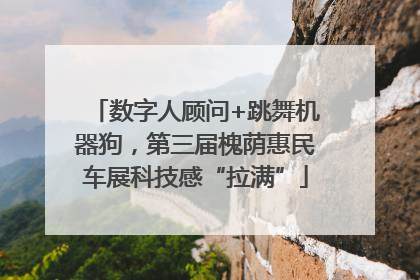 数字人顾问+跳舞机器狗，第三届槐荫惠民车展科技感“拉满”