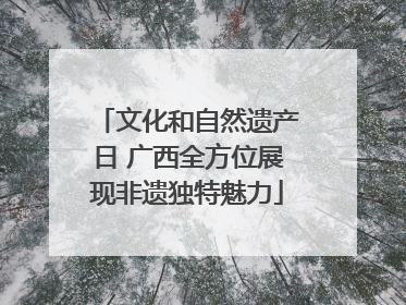 文化和自然遗产日 广西全方位展现非遗独特魅力