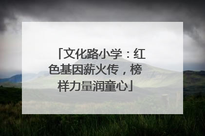 文化路小学：红色基因薪火传，榜样力量润童心