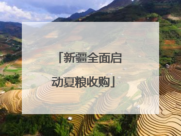 新疆全面启动夏粮收购