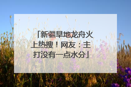 新疆旱地龙舟火上热搜！网友：主打没有一点水分