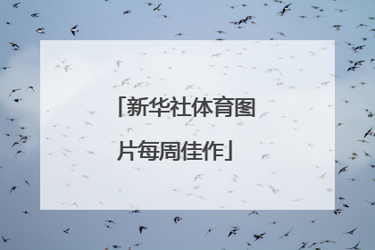 新华社体育图片每周佳作