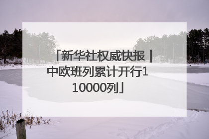 新华社权威快报｜中欧班列累计开行110000列