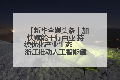 新华全媒头条丨加快赋能千行百业 持续优化产业生态——浙江推动人工智能健康有序发展观察