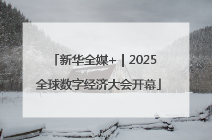 新华全媒+｜2025全球数字经济大会开幕