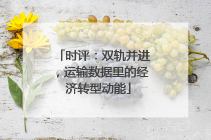 时评：双轨并进，运输数据里的经济转型动能