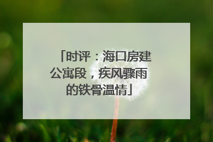 时评：海口房建公寓段，疾风骤雨的铁骨温情