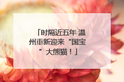 时隔近五年 温州重新迎来“国宝”大熊猫！