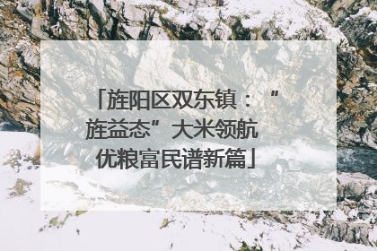 旌阳区双东镇：“旌益态”大米领航 优粮富民谱新篇