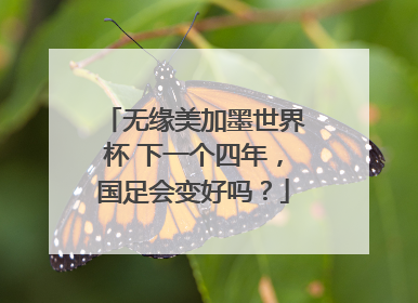 无缘美加墨世界杯 下一个四年，国足会变好吗？