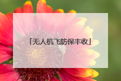 无人机飞防保丰收