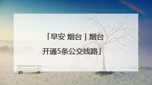 早安 烟台｜烟台开通5条公交线路