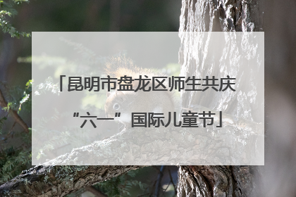 昆明市盘龙区师生共庆“六一”国际儿童节