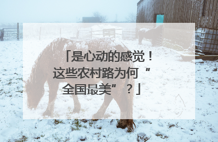 是心动的感觉！这些农村路为何“全国最美”？