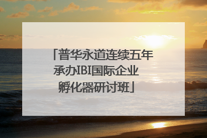 普华永道连续五年承办IBI国际企业孵化器研讨班