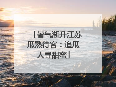 暑气渐升江苏瓜熟待客：追瓜人寻甜蜜