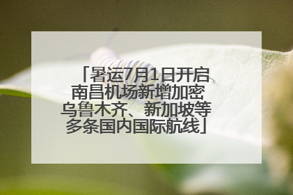 暑运7月1日开启 南昌机场新增加密乌鲁木齐、新加坡等多条国内国际航线