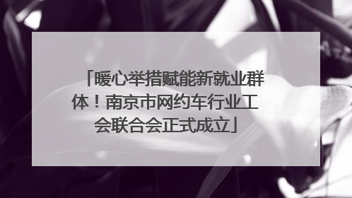 暖心举措赋能新就业群体！南京市网约车行业工会联合会正式成立