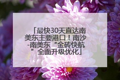 最快30天直达南美东主要港口！南沙-南美东“金砖快航”全面升级优化
