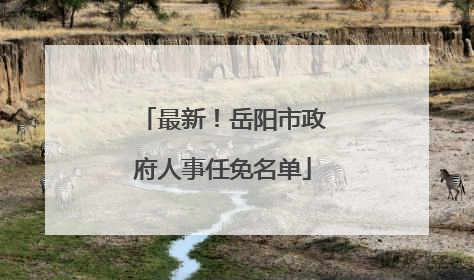 最新！岳阳市政府人事任免名单