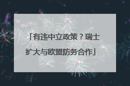 有违中立政策？瑞士扩大与欧盟防务合作