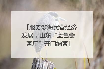 服务涉海民营经济发展，山东“蓝色会客厅”开门纳客