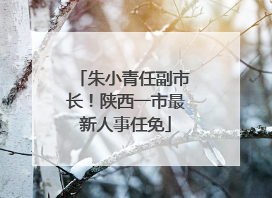 朱小青任副市长！陕西一市最新人事任免