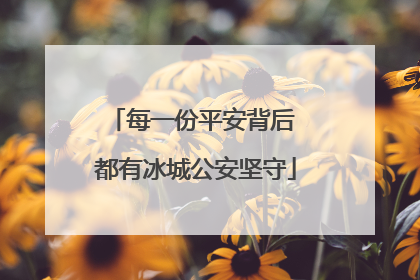 每一份平安背后 都有冰城公安坚守