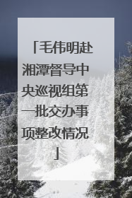 毛伟明赴湘潭督导中央巡视组第一批交办事项整改情况