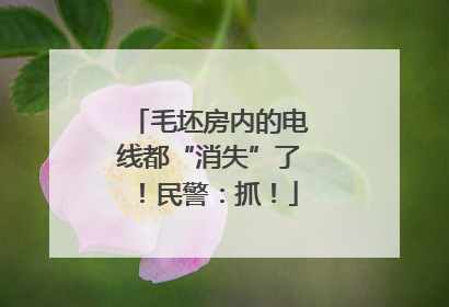 毛坯房内的电线都“消失”了！民警：抓！