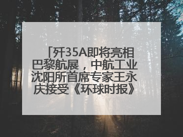 歼35A即将亮相巴黎航展，中航工业沈阳所首席专家王永庆接受《环球时报》专访：未来数量可以有很多
