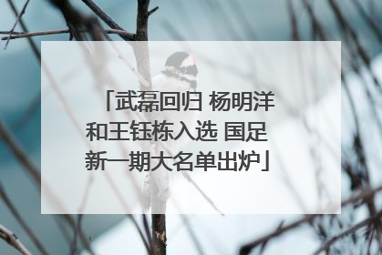 武磊回归 杨明洋和王钰栋入选 国足新一期大名单出炉