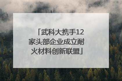 武科大携手12家头部企业成立耐火材料创新联盟