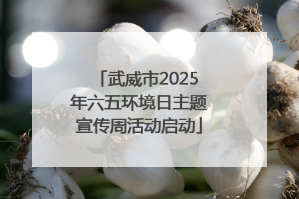 武威市2025年六五环境日主题宣传周活动启动