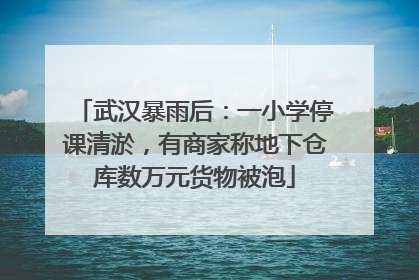 武汉暴雨后：一小学停课清淤，有商家称地下仓库数万元货物被泡