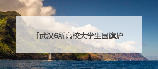 武汉6所高校大学生国旗护卫队展示邀请赛在大悟举行