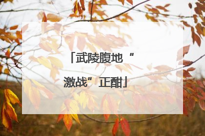 武陵腹地“激战”正酣