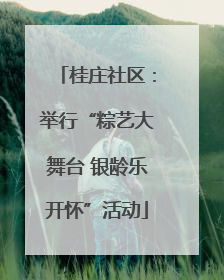 桂庄社区：举行“粽艺大舞台 银龄乐开怀”活动