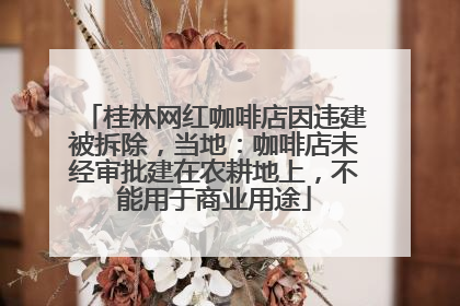 桂林网红咖啡店因违建被拆除，当地：咖啡店未经审批建在农耕地上，不能用于商业用途