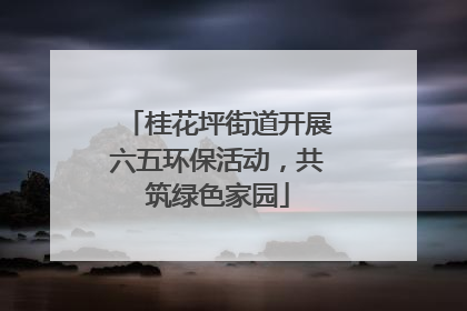 桂花坪街道开展六五环保活动，共筑绿色家园